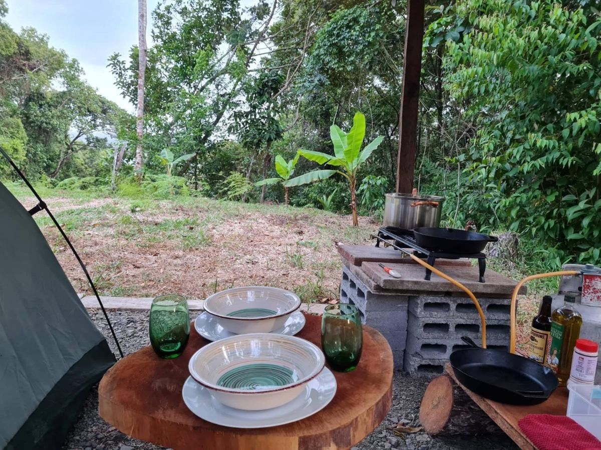 فندق Jungle Eco Reserve كولون المظهر الخارجي الصورة