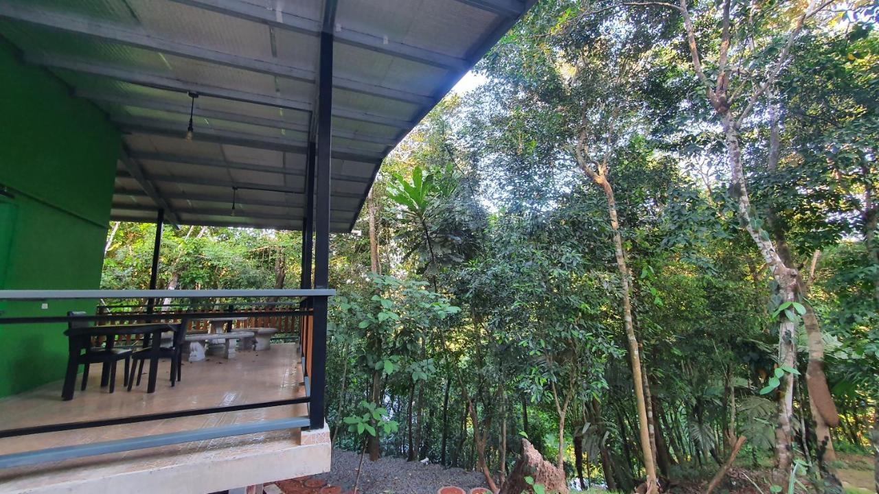 فندق Jungle Eco Reserve كولون المظهر الخارجي الصورة