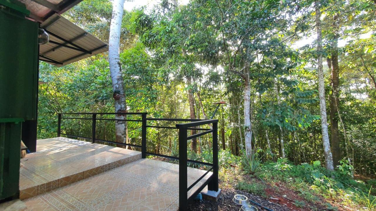 فندق Jungle Eco Reserve كولون المظهر الخارجي الصورة