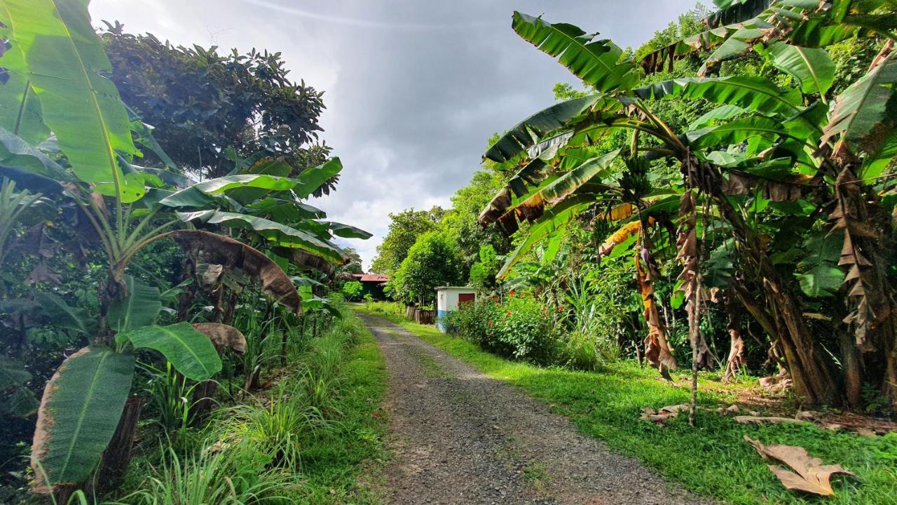 فندق Jungle Eco Reserve كولون المظهر الخارجي الصورة