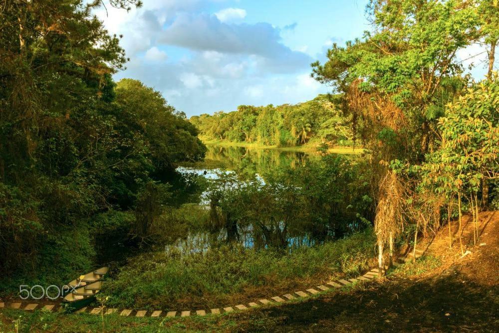 فندق Jungle Eco Reserve كولون المظهر الخارجي الصورة