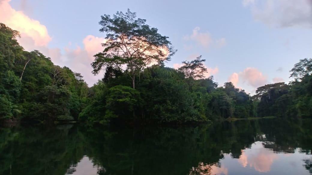 فندق Jungle Eco Reserve كولون المظهر الخارجي الصورة