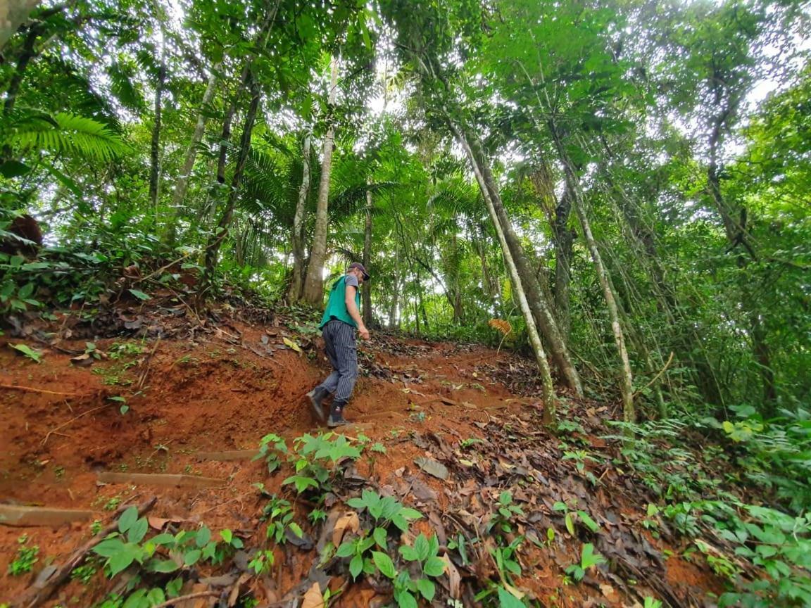 فندق Jungle Eco Reserve كولون المظهر الخارجي الصورة