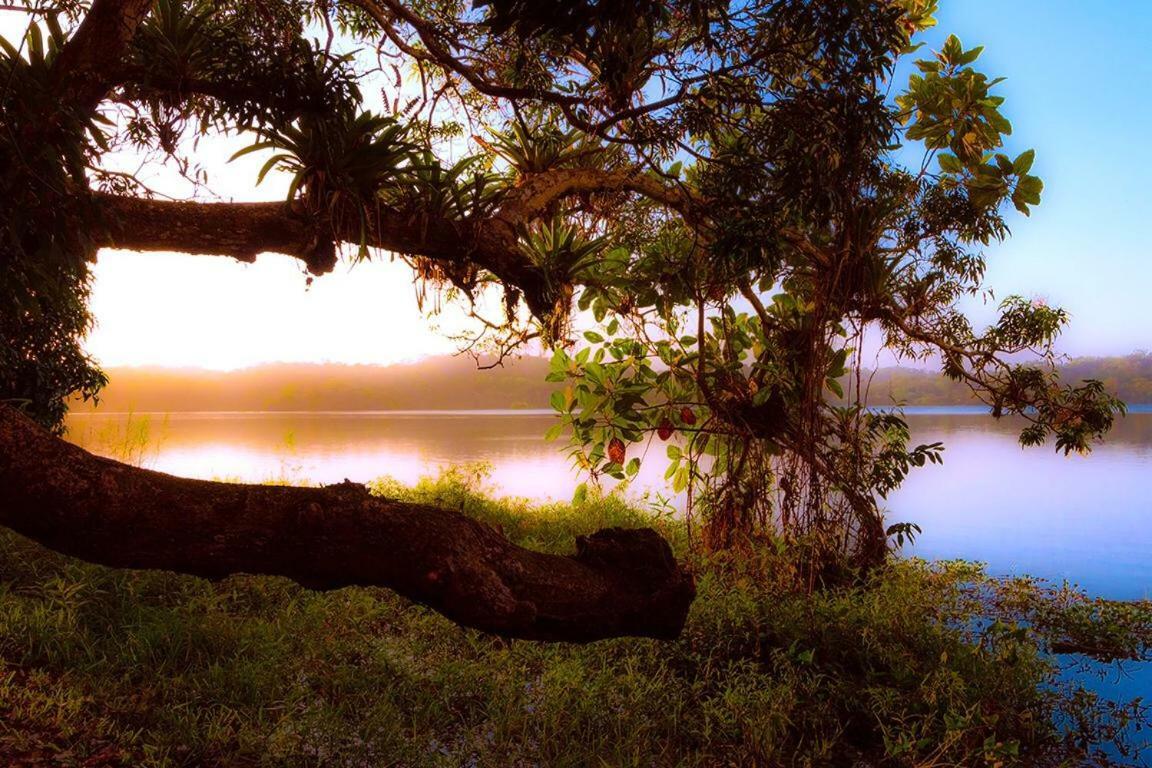 فندق Jungle Eco Reserve كولون المظهر الخارجي الصورة