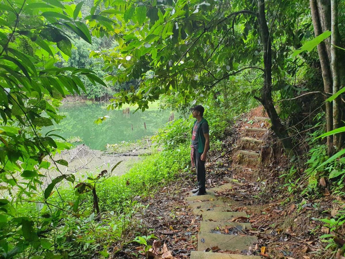 فندق Jungle Eco Reserve كولون المظهر الخارجي الصورة