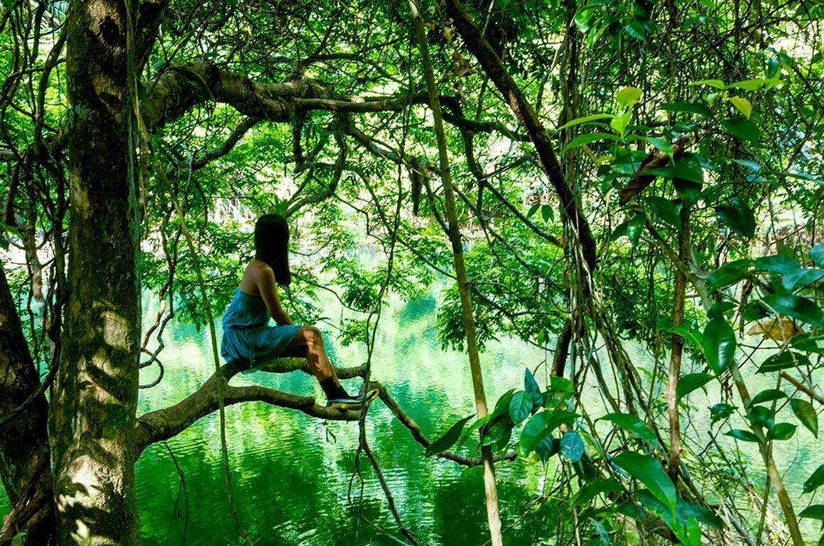 فندق Jungle Eco Reserve كولون المظهر الخارجي الصورة