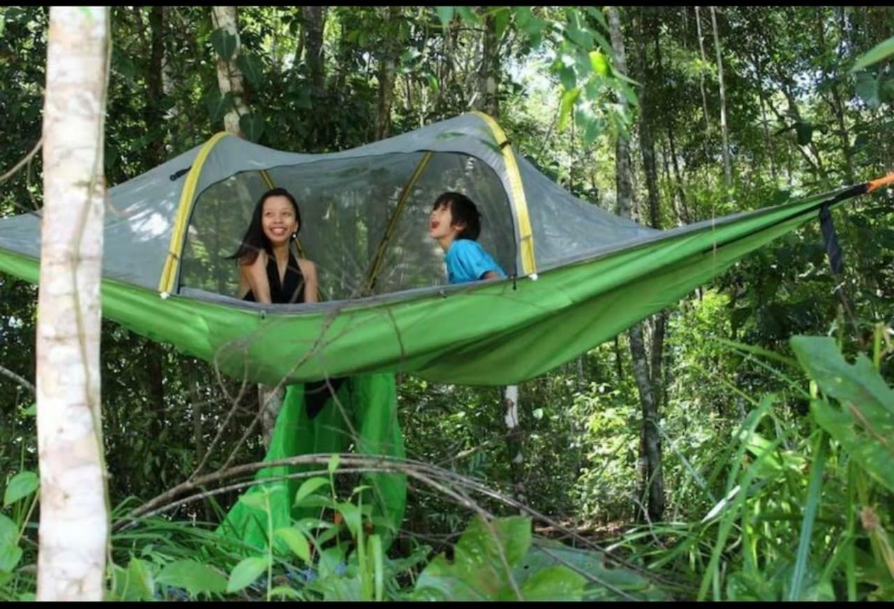 فندق Jungle Eco Reserve كولون المظهر الخارجي الصورة
