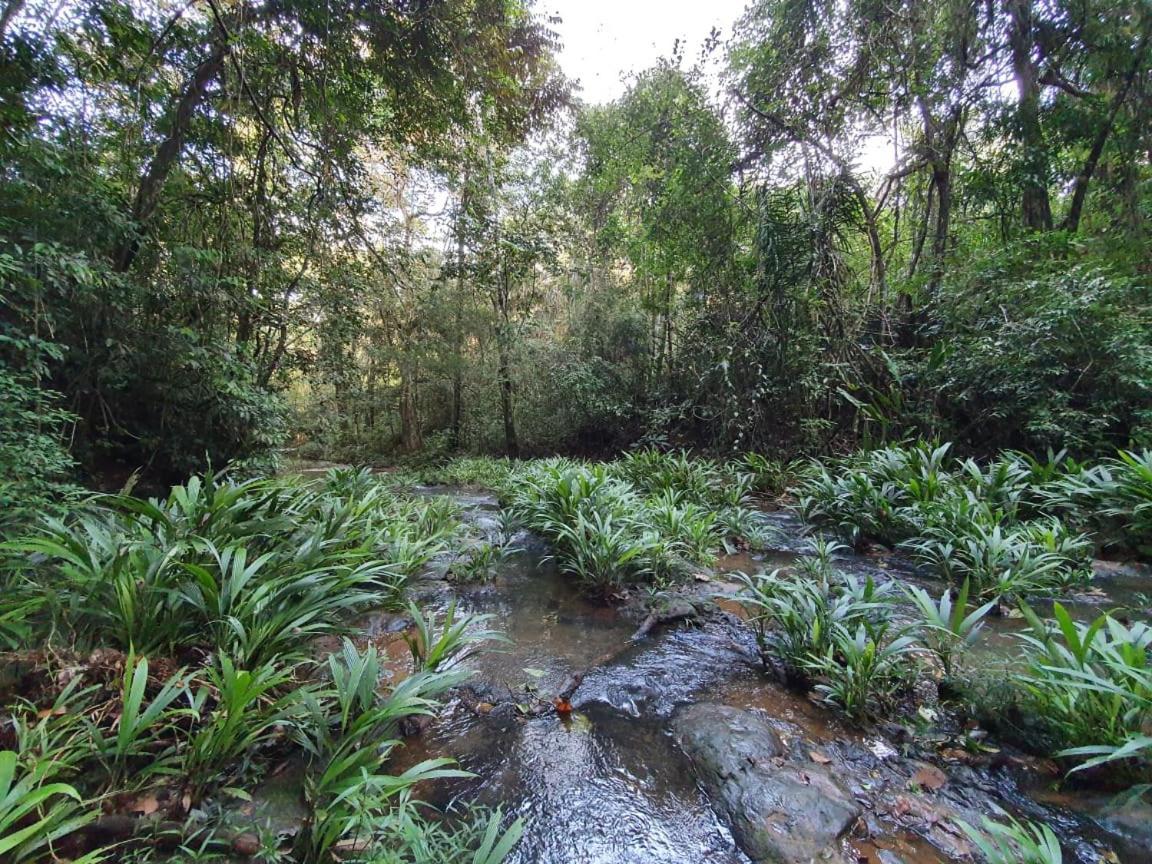 فندق Jungle Eco Reserve كولون المظهر الخارجي الصورة