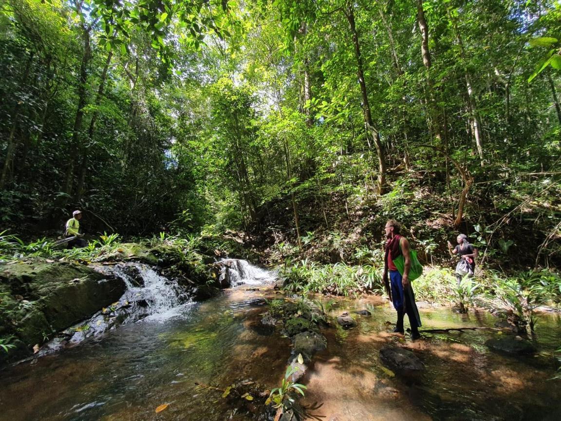 فندق Jungle Eco Reserve كولون المظهر الخارجي الصورة