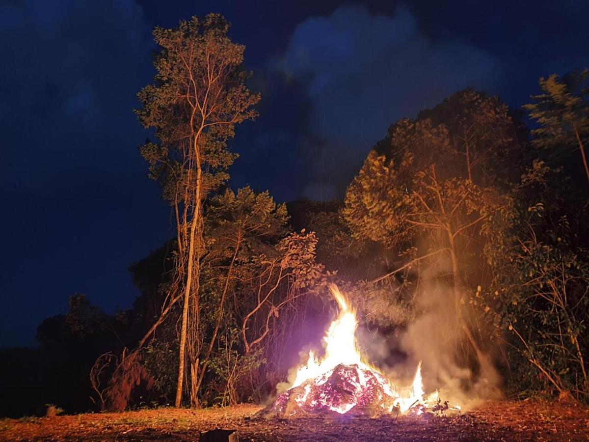 فندق Jungle Eco Reserve كولون المظهر الخارجي الصورة