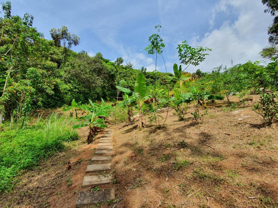 فندق Jungle Eco Reserve كولون المظهر الخارجي الصورة