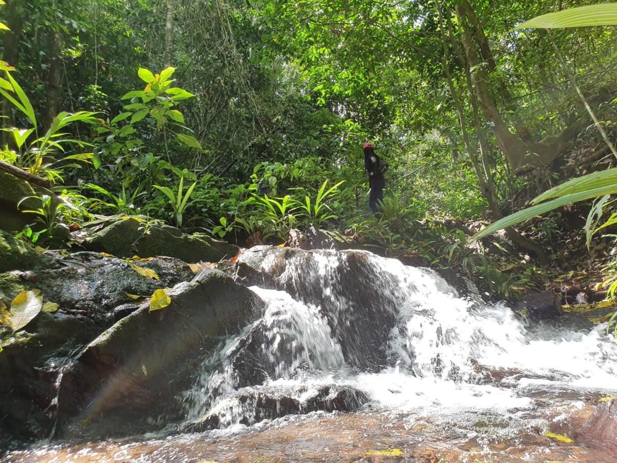 فندق Jungle Eco Reserve كولون المظهر الخارجي الصورة