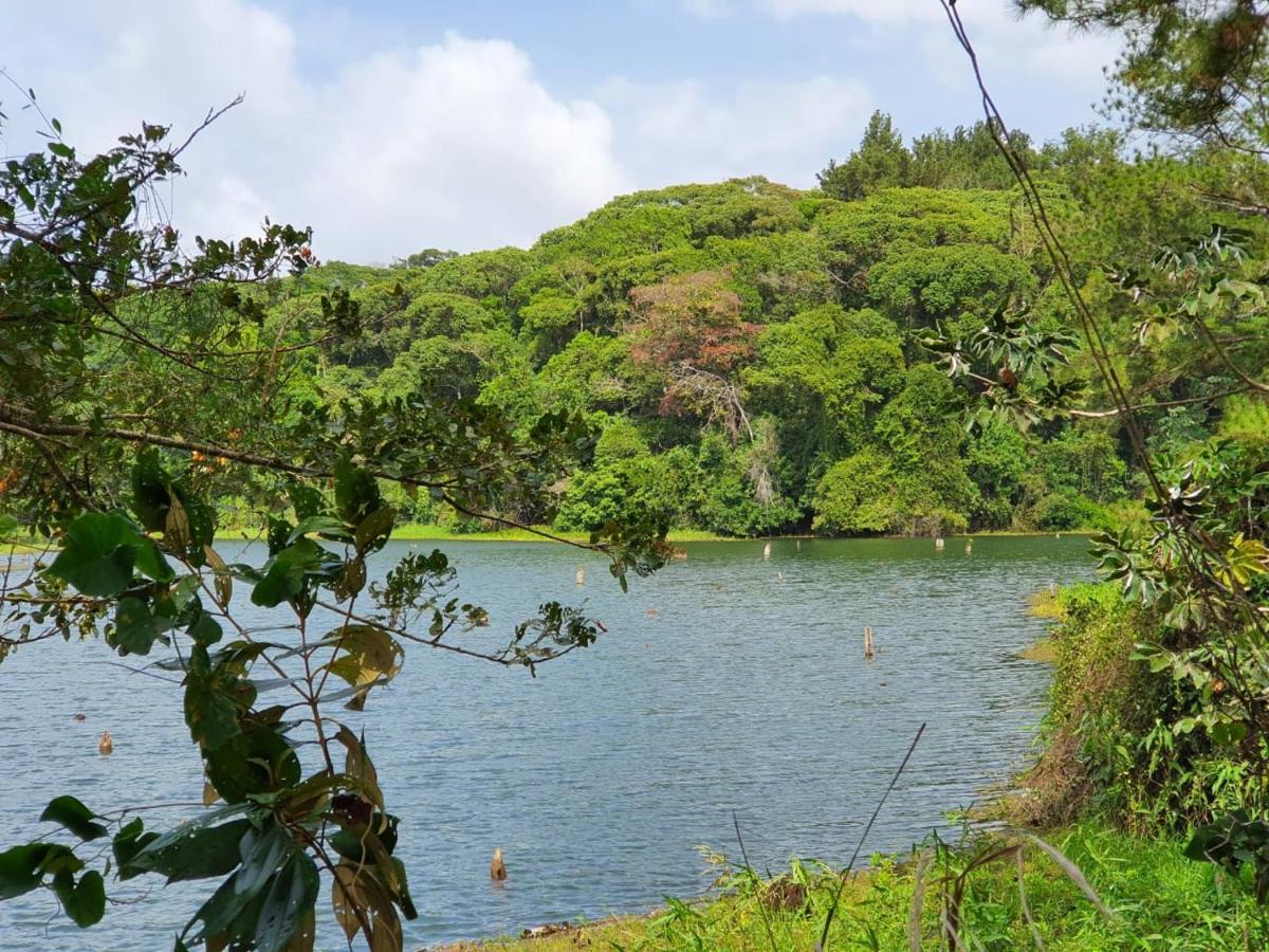 فندق Jungle Eco Reserve كولون المظهر الخارجي الصورة